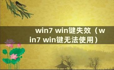 win7 win键失效（win7 win键无法使用）